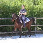 Faridaa Straight Egyptian Mare