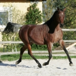 ni9o2252